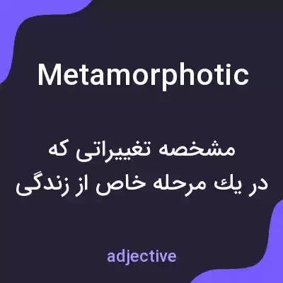 معنی metamorphotic به فارسی معنی metamorphotic به فارسی