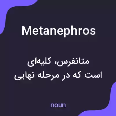 معنی metanephros به فارسی معنی metanephros به فارسی