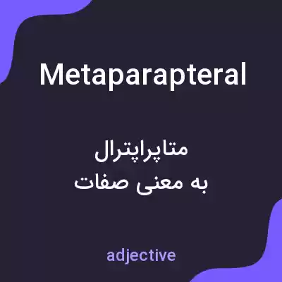 معنی metaparapteral به فارسی معنی metaparapteral به فارسی