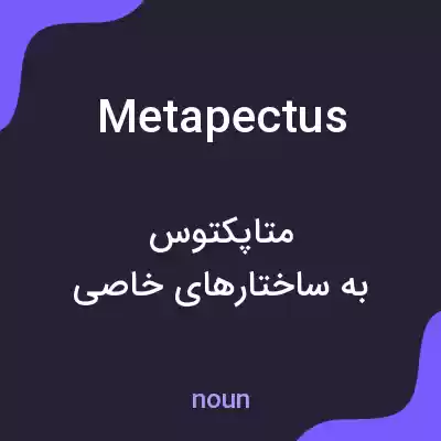 معنی metapectus به فارسی معنی metapectus به فارسی