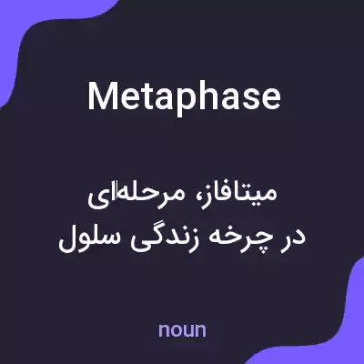 معنی metaphase به فارسی معنی metaphase به فارسی