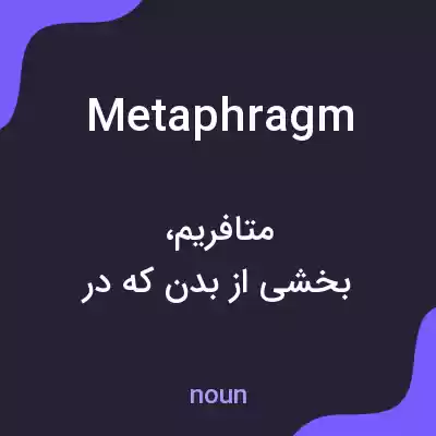 معنی metaphragm به فارسی معنی metaphragm به فارسی
