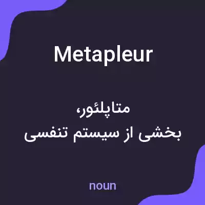 معنی metapleur به فارسی معنی metapleur به فارسی