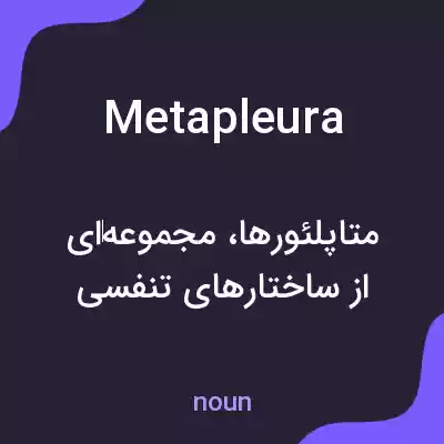 معنی metapleura به فارسی معنی metapleura به فارسی