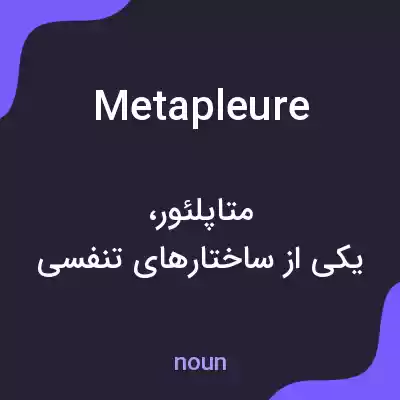 معنی metapleure به فارسی معنی metapleure به فارسی