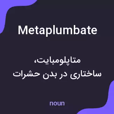 معنی metaplumbate به فارسی معنی metaplumbate به فارسی