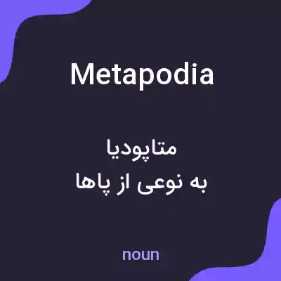 معنی metapodia به فارسی معنی metapodia به فارسی
