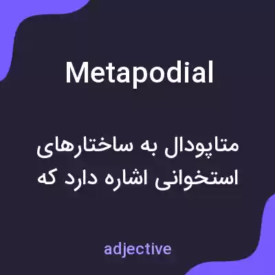 معنی metapodial به فارسی معنی metapodial به فارسی