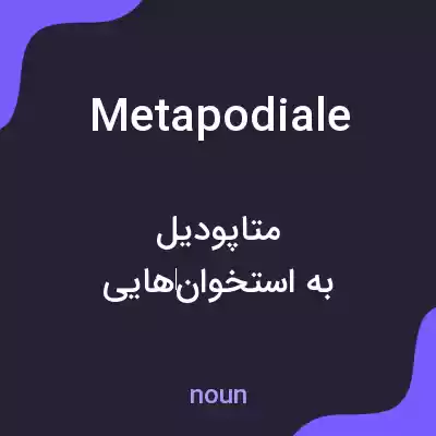 معنی metapodiale به فارسی معنی metapodiale به فارسی