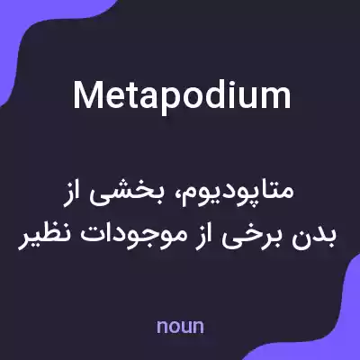 معنی metapodium به فارسی معنی metapodium به فارسی