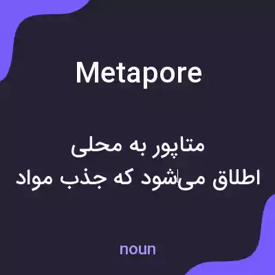 معنی metapore به فارسی معنی metapore به فارسی