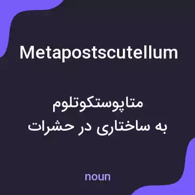 معنی metapostscutellum به فارسی معنی metapostscutellum به فارسی