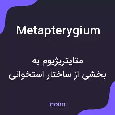 معنی metapterygium به فارسی معنی metapterygium به فارسی
