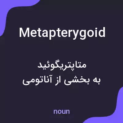 معنی metapterygoid به فارسی معنی metapterygoid به فارسی