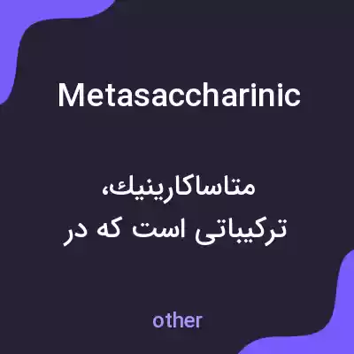 معنی metasaccharinic به فارسی معنی metasaccharinic به فارسی