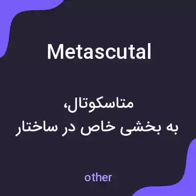معنی metascutal به فارسی معنی metascutal به فارسی