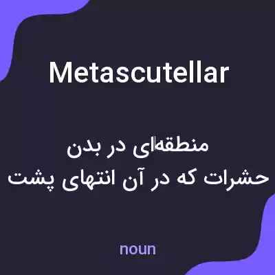 معنی metascutellar به فارسی معنی metascutellar به فارسی