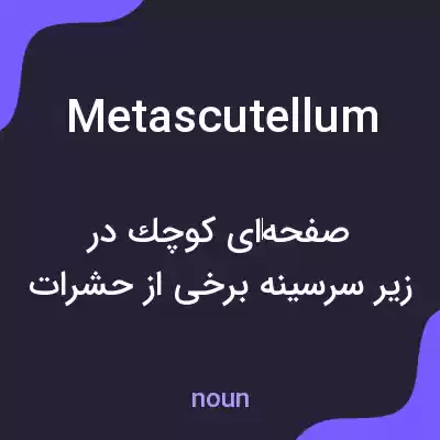 معنی metascutellum به فارسی معنی metascutellum به فارسی