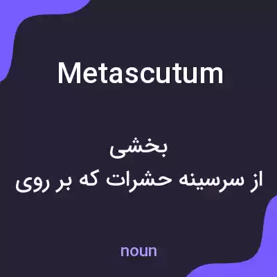 معنی metascutum به فارسی معنی metascutum به فارسی