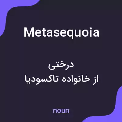 معنی metasequoia به فارسی معنی metasequoia به فارسی