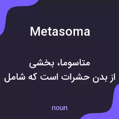 معنی metasoma به فارسی معنی metasoma به فارسی