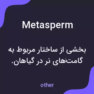 معنی metasperm به فارسی معنی metasperm به فارسی
