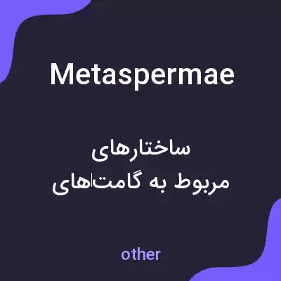 معنی metaspermae به فارسی معنی metaspermae به فارسی