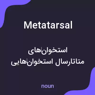 معنی metatarsal به فارسی