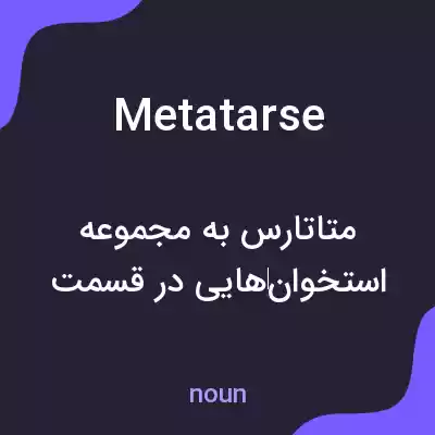 معنی metatarse به فارسی معنی metatarse به فارسی