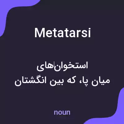 معنی metatarsi به فارسی معنی metatarsi به فارسی