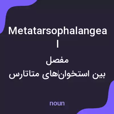 معنی metatarsophalangeal به فارسی معنی metatarsophalangeal به فارسی