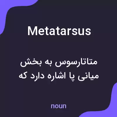معنی metatarsus به فارسی معنی metatarsus به فارسی
