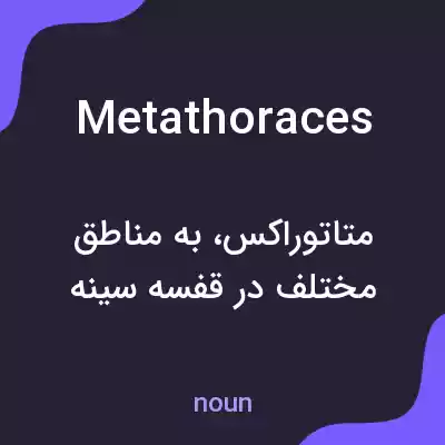 معنی metathoraces به فارسی معنی metathoraces به فارسی