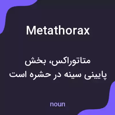 معنی metathorax به فارسی معنی metathorax به فارسی
