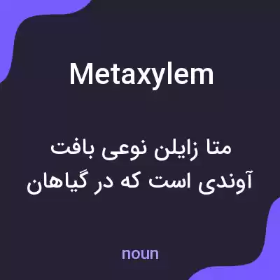 معنی metaxylem به فارسی معنی metaxylem به فارسی