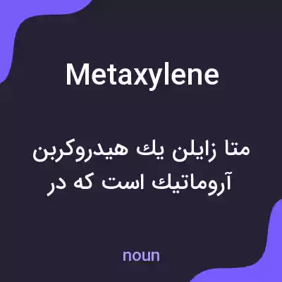 معنی metaxylene به فارسی معنی metaxylene به فارسی