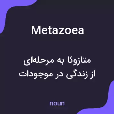 معنی metazoea به فارسی معنی metazoea به فارسی