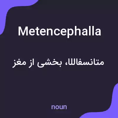 معنی metencephalla به فارسی معنی metencephalla به فارسی