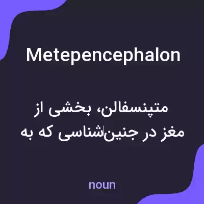 معنی metepencephalon به فارسی معنی metepencephalon به فارسی