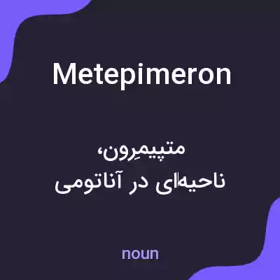معنی metepimeron به فارسی معنی metepimeron به فارسی