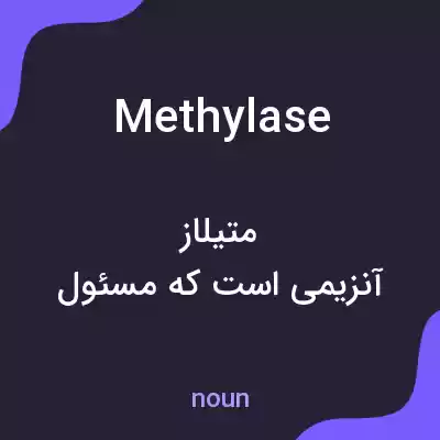 معنی methylase به فارسی معنی methylase به فارسی