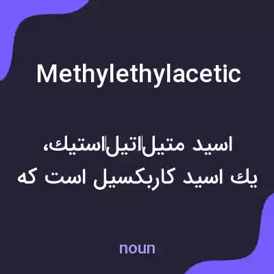 معنی methylethylacetic به فارسی معنی methylethylacetic به فارسی