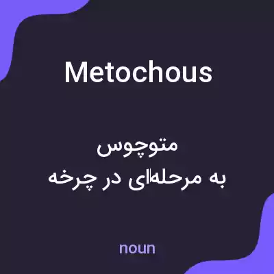 معنی metochous به فارسی معنی metochous به فارسی