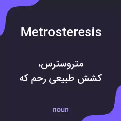 معنی metrosteresis به فارسی معنی metrosteresis به فارسی