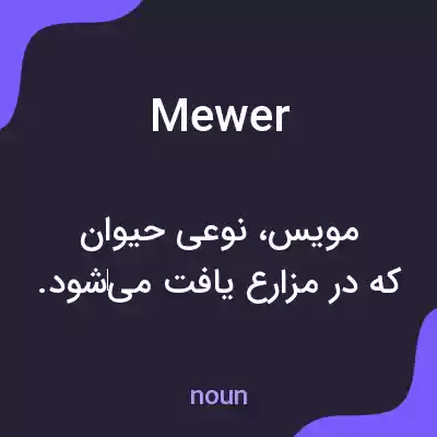 معنی mewer به فارسی معنی mewer به فارسی