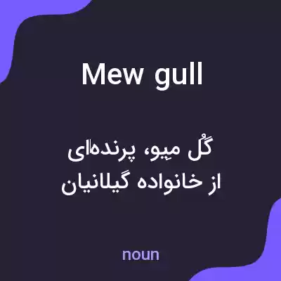 معنی mew gull به فارسی معنی mew gull به فارسی