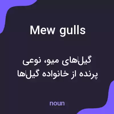 معنی mew gulls به فارسی معنی mew gulls به فارسی