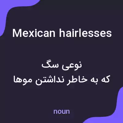 معنی mexican hairlesses به فارسی معنی mexican hairlesses به فارسی