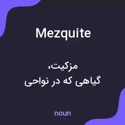 معنی mezquite به فارسی معنی mezquite به فارسی