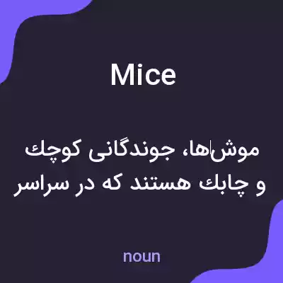 معنی mice به فارسی معنی mice به فارسی